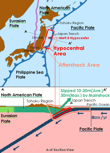 Tohoku Earthquake Mechanism 
